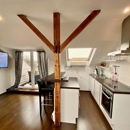 Wohnen Ueber Den Daechern Von Ravensburg, Stadtnah, Kamin, Klima Apartment Luaran gambar