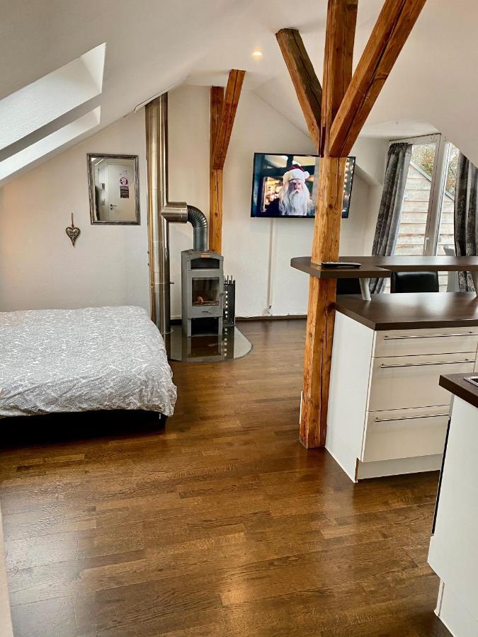 Wohnen Ueber Den Daechern Von Ravensburg, Stadtnah, Kamin, Klima Apartment Luaran gambar